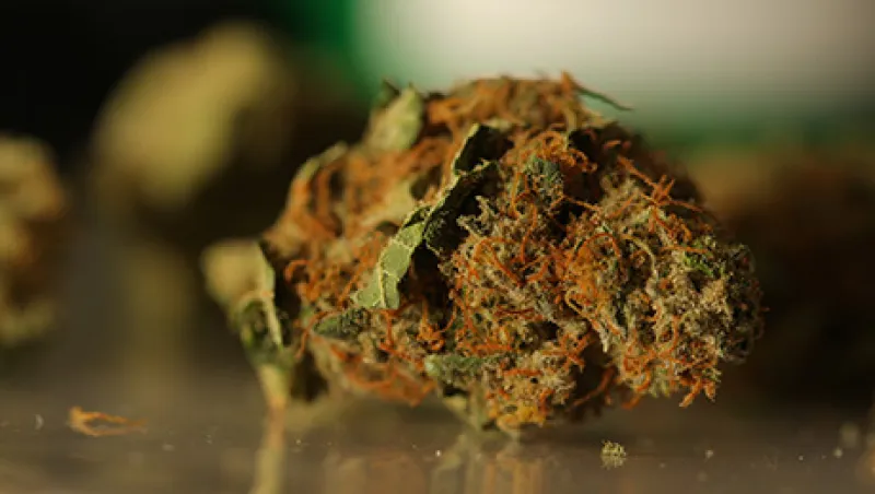 Pot Prices Double as Colorado Retailers Roll Out Green Carpet Pot Prices Double as Colorado Retailers Roll Out Green Carpet