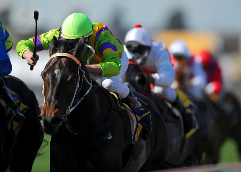 am-annual-returns-horse-race.jpg am-annual-returns-horse-race.jpg
